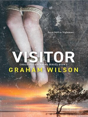 cover image of Visitor